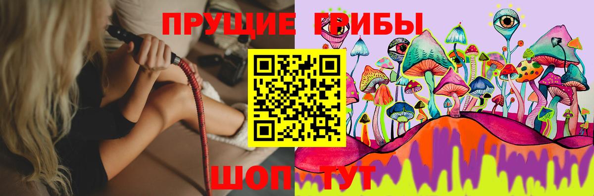 Галлюциногенные грибы MAGIC MUSHROOMS  Вход с VPN  Галлюциногенные грибы Psilocybine cubensis  Зеленогорск 